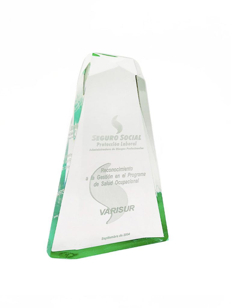 Reconocimiento otorgado por SEGURO SOCIAL en el año 2004