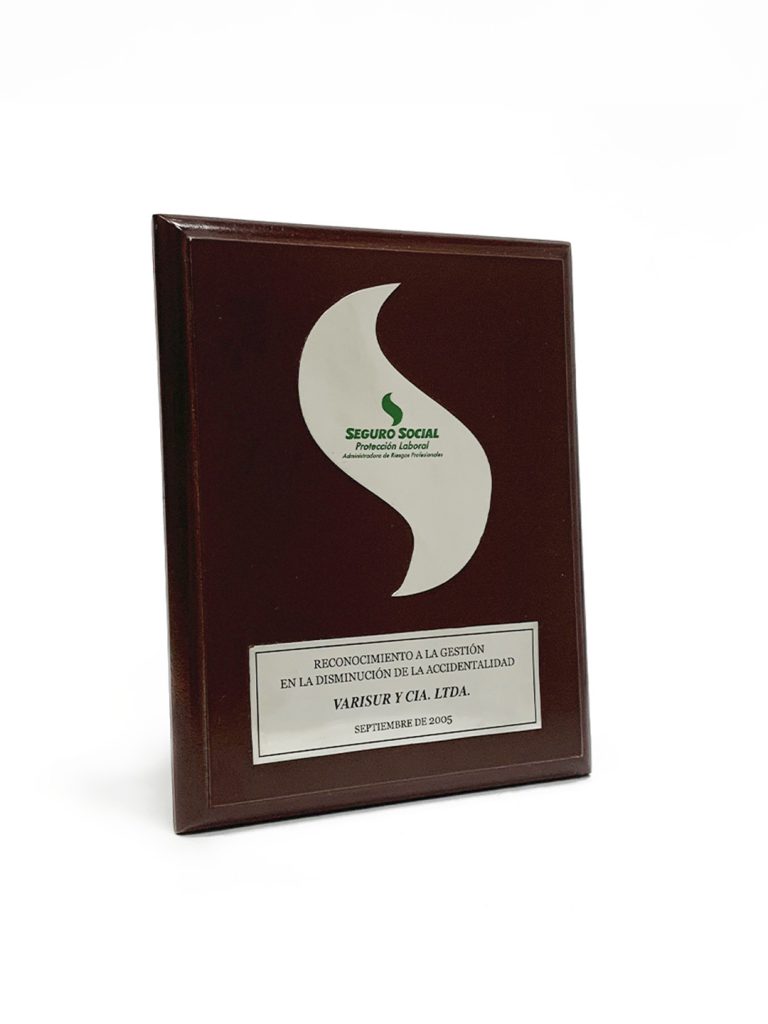 Reconocimiento otorgado por SEGURO SOCIAL en el año 2005